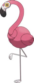 smogon flamigo|flamingo serebii.